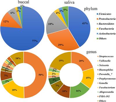 Comparative Evaluation of the Salivary and Buccal Mucosal Microbiota by 16S rRNA Sequencing for Forensic Investigations